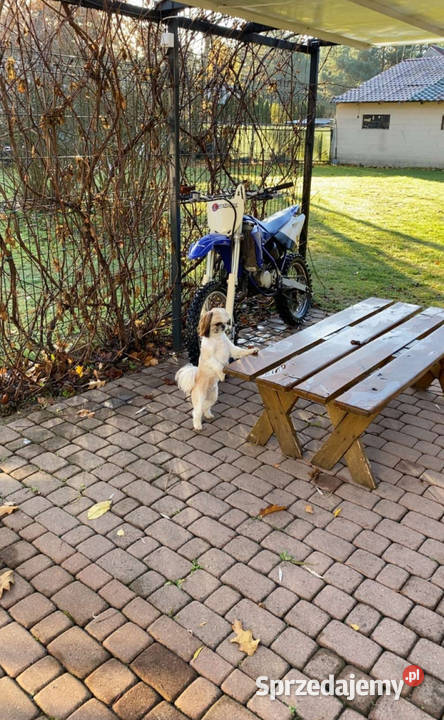 Yamaha YZ 85 2011 Daleszyce