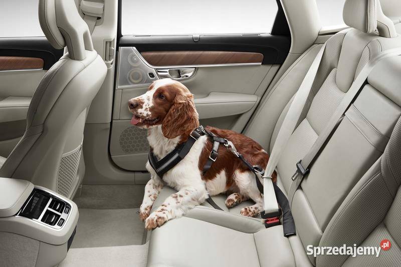 VOLVO uprzaz pas psa 3055 na tylna kanape