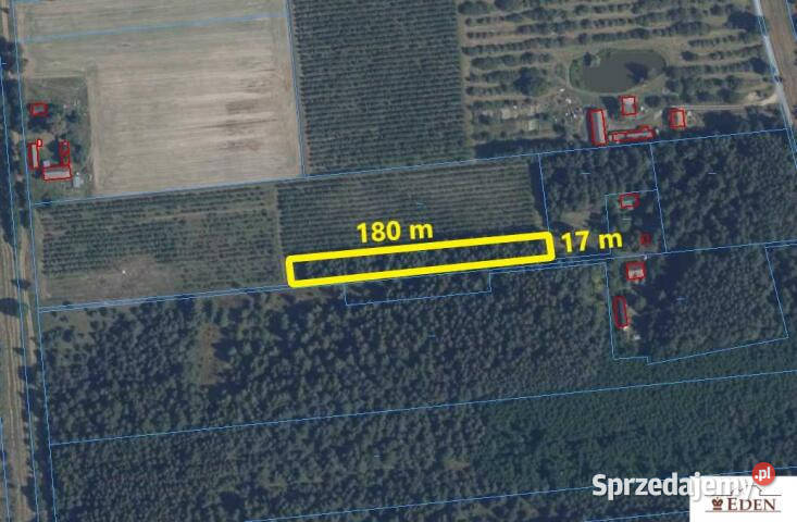 Grunt 2999m2 Oleśnica sprzedam