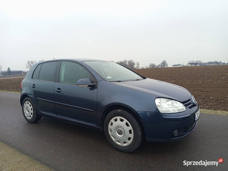 Volkswagen Golf V 14 MPI 80 2007r kujawsko-pomorskie Izbica Kujawska