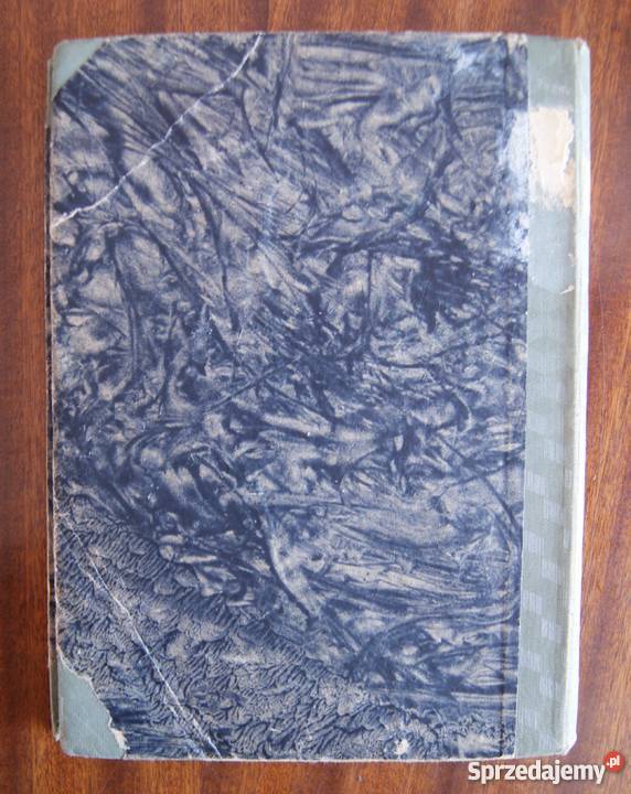 Józef Ignacy Kraszewski Dziecię Starego Miasta lubelskie Parczew