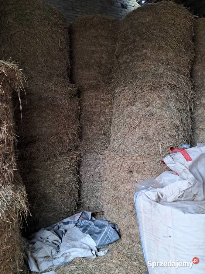 Słoma i siano w belach lubelskie Ułęż sprzedam