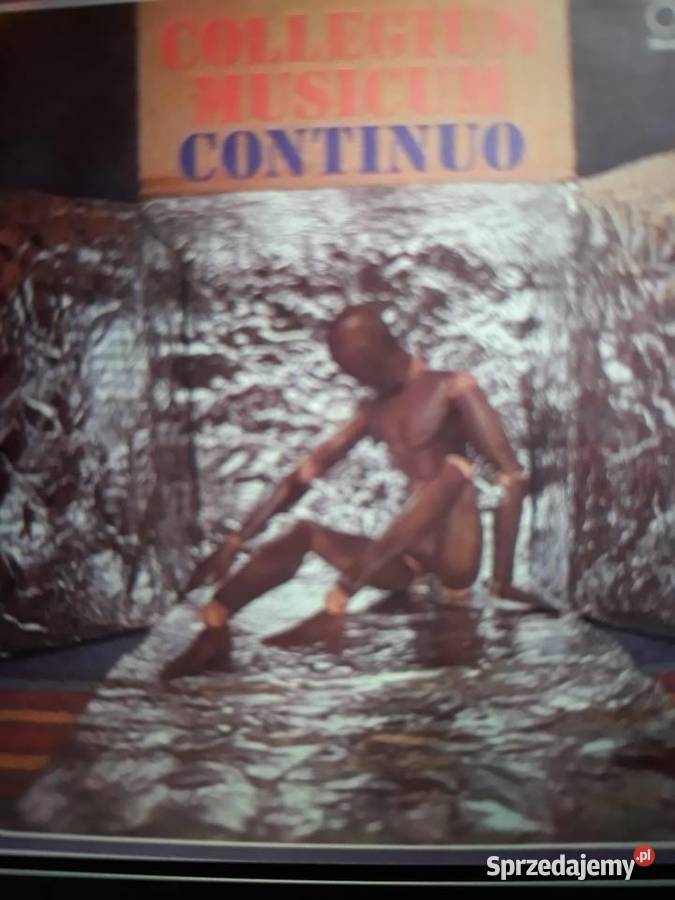 Archiwum słowackiego prog symphrocka COLLEGIUM Rzeszów