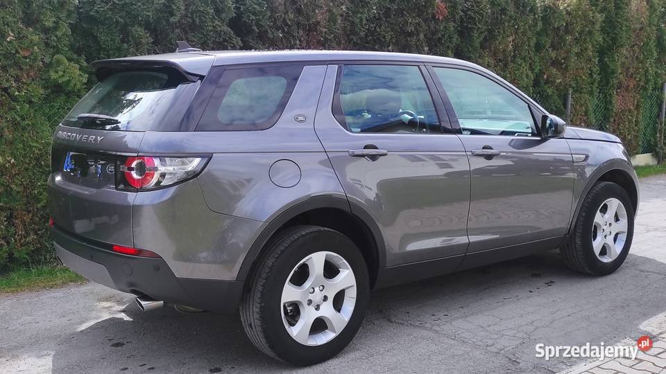 Discovery Sport Kielce