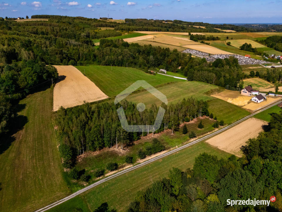 Działka lesie z WZ 34 ar 16 ar las Sprzedaż podkarpackie Zagorzyce