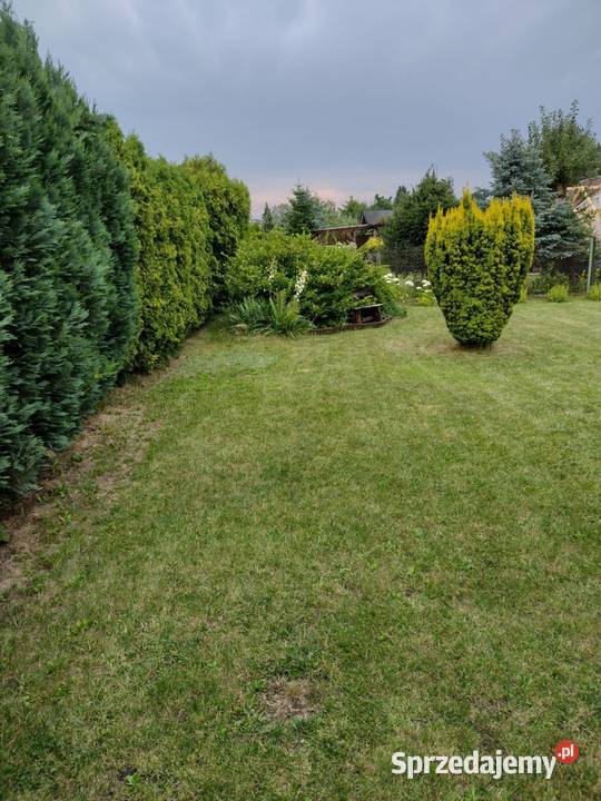 Sprzedam Ogródek Działkowy Piekary Śląskie
