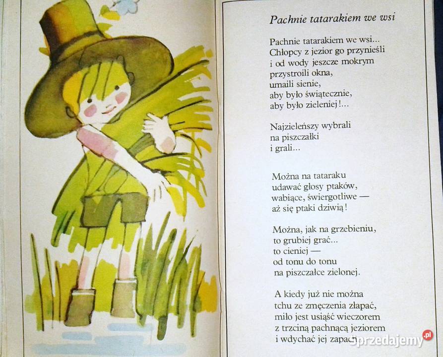 Złote bursztyny Halina Szayerowa Pozostałe Chełm