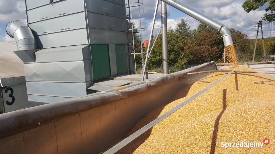 śruta kukurydzy w workach 25 transport Ligota Turawska