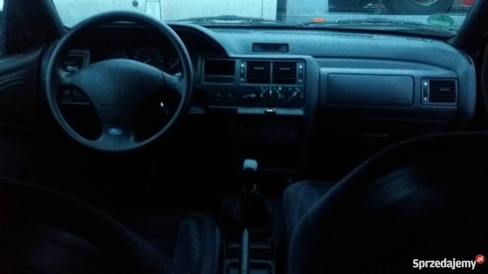 Escort Z niemiec Elbląg