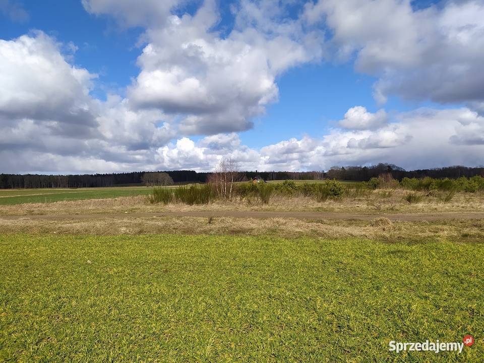 tapeta z Windows XP 3477m2 sprzedam