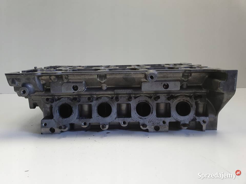Audi A4 B6 20 20V GŁOWICA CYLINDRÓW 06B103373AM Głowice cylindrów Rudka