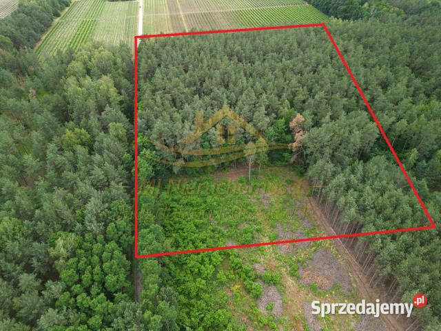 Działka Żabia Wola św Anny 17261m2 mazowieckie