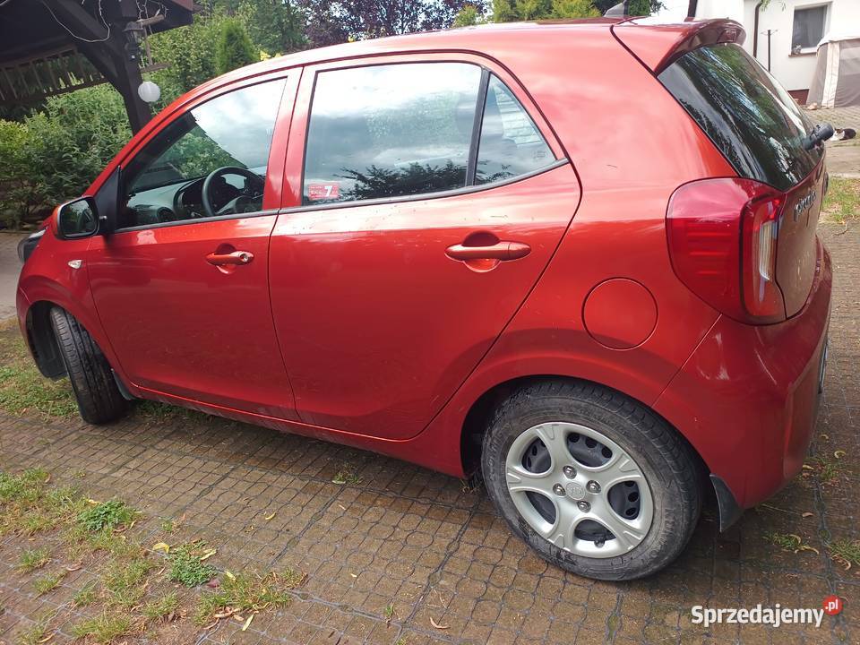 KIA PICANTO 10 2017r 65000 benzyna dolnośląskie Kamieniec Ząbkowicki