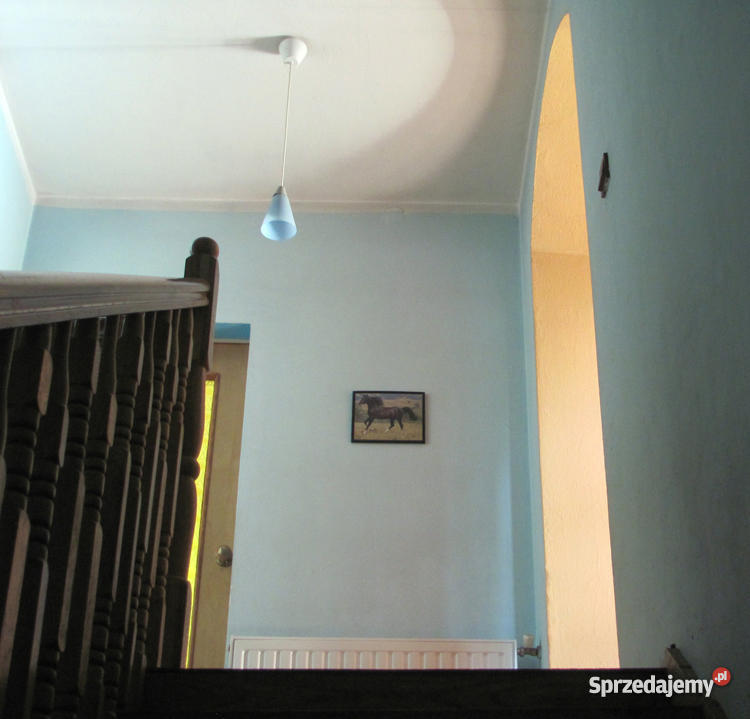 dom 230 m2 Kanie 0zł/m2 mazowieckie Kanie