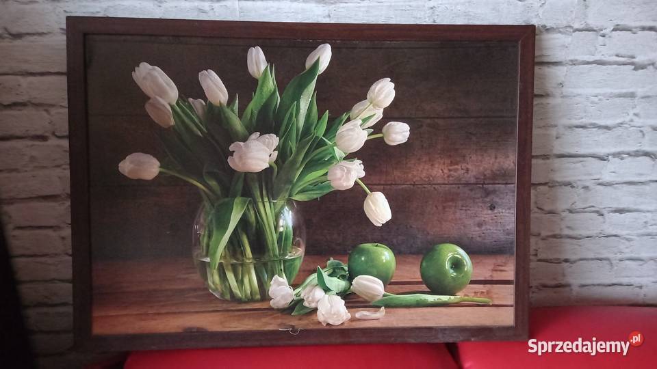 7251 PIĘKNE TULIPANY Warszawa sprzedam
