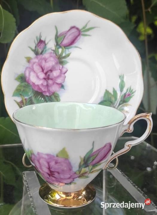 Piękne rzadkie zabytkowe róże Royal Standard łódzkie Pabianice sprzedam