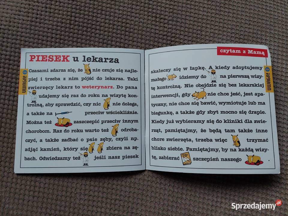 Piesek u lekarza Uta Dorczyk Kraków