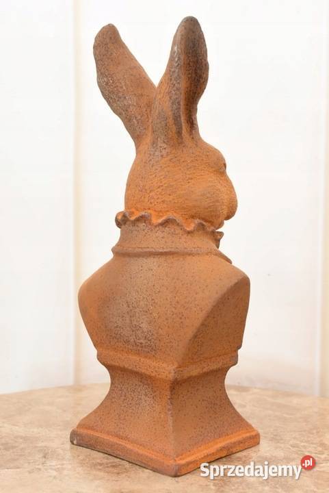 Popiersie Królika w Garniturze Królik Zając małopolskie Kraków