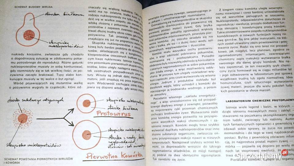 Człowiek i chemia Jerzy Stobiński Chełm