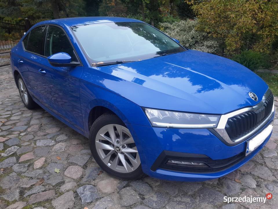 Skoda Octavia Salon Polska Octavia Dębno