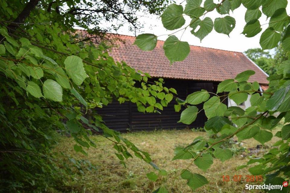 Sprzedam dom rzeką na mazurach 100m2 Zielony Lasek sprzedam