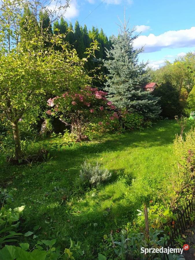 Działka ROD Olsztyn