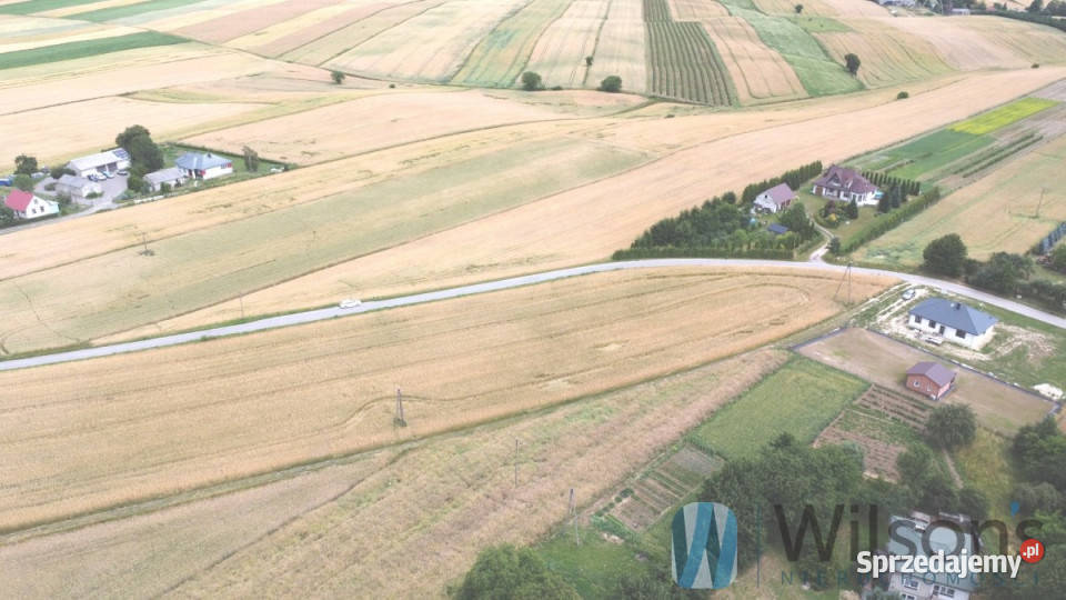 Grunt 7700m2 JózefówPociecha 170m Józefów-Pociecha