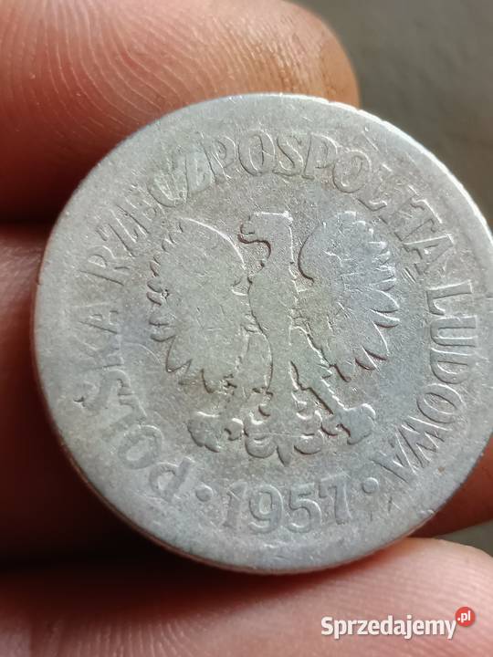 Sprzedam 1 zl 1957 qqqq Chełm