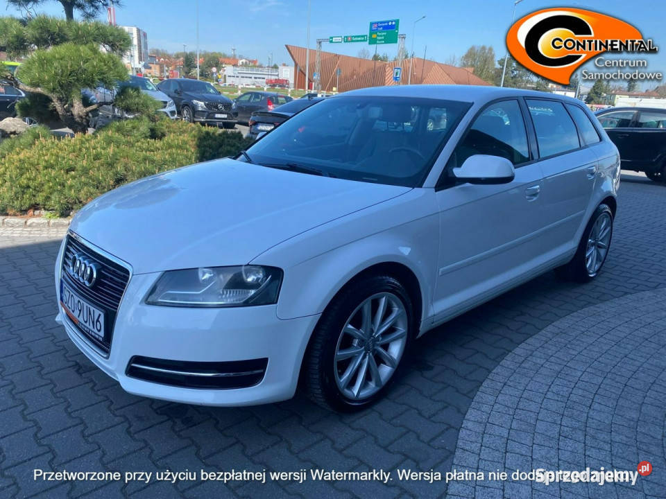 Audi A3 Sportback Skórzana tapicerka 8P 20032012 Żory sprzedam