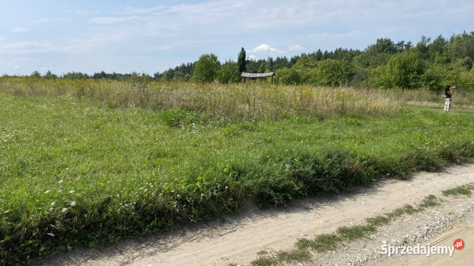 Piękna Działka na Wsi Okale k Kazimierz Dolnego 42zł/m2 Kazimierz Dolny sprzedam