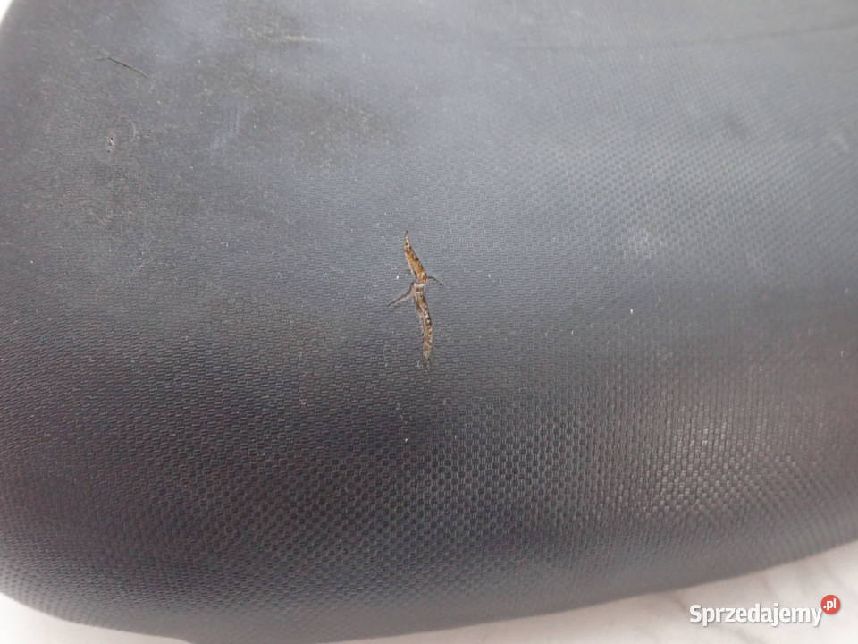 Siedzenie Pasażera Do Obszycia Gąbka Stelaż Strzelce Krajeńskie