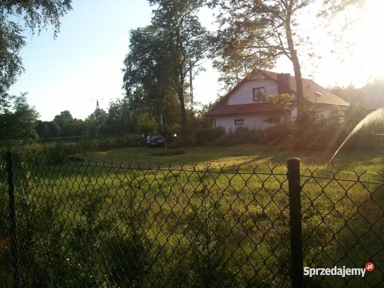 Dzikowo działka 1000 m kujawsko-pomorskie Dzikowo