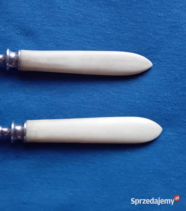 Dwa widelce ze stali nierdzewnej z ebonitowymi Koźminek