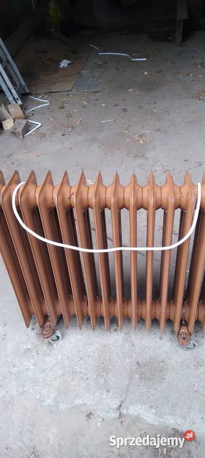 Grzejnik elektryczny olejowy Mayer wielkopolskie Koło sprzedam