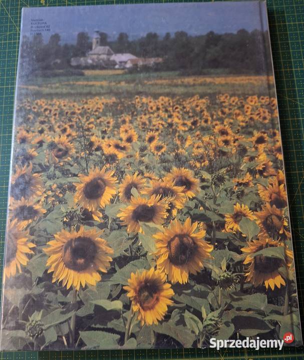 Pannonien Węgry j niem małopolskie Kraków