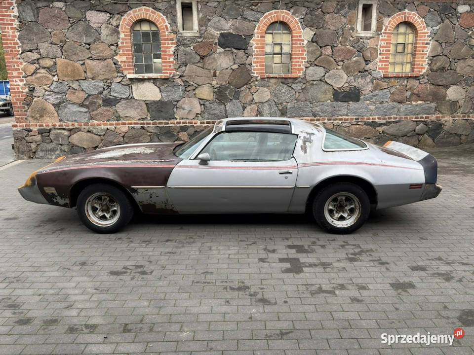 Pontiac Firebird Trans Am Pontiac Firebird 1981 2/3 lubuskie Sulechów sprzedam