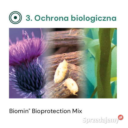 Mycofix Plus Dairy krów Biomin wielkopolskie Strzelce Wielkie