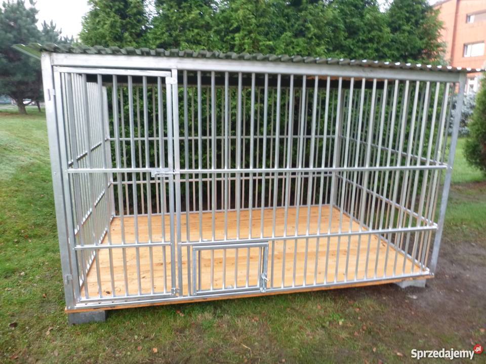 KOJEC PSA ZAGRODA PSA KOJCE NA WYMIAR CAŁA Wrocław sprzedam