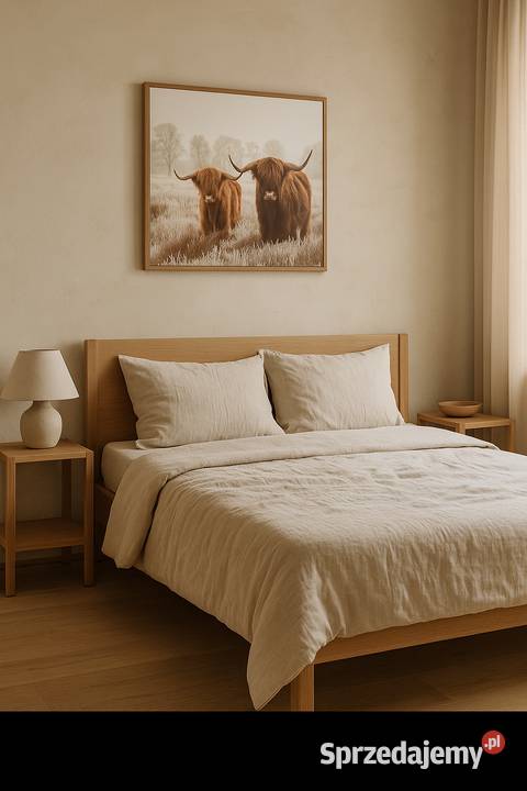 Obraz Szkockie krowy Highland Cattle duży format kujawsko-pomorskie