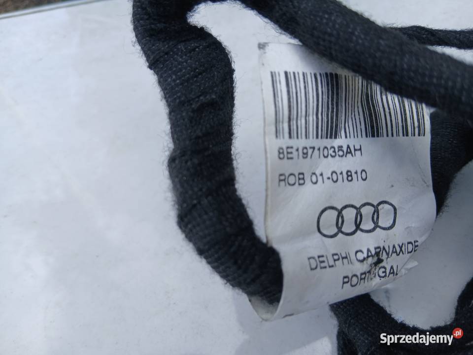 Audi A4 B6 B7 wiązka drzwi lewy przód osobowe śląskie Szczerbice