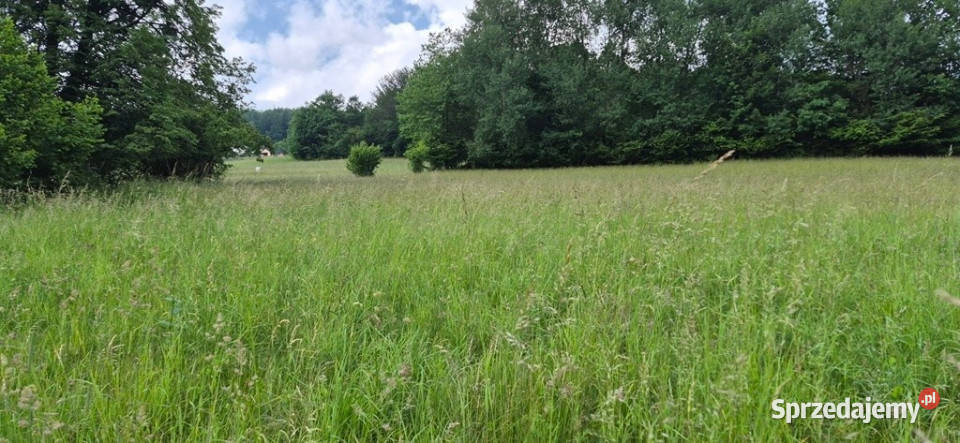 Widokowa działka odkryj spokój w Beskidach Brenna