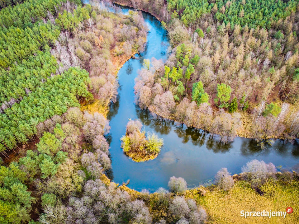 Usługi dronem filmy i zdjęcia z dronalotu ptaka Rypin