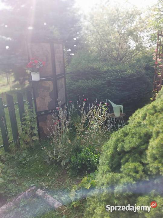 Dwie działki w 1ROD mazowieckie Grójec