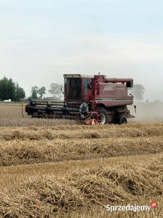 International 1440 Hydrostat Cimoszki