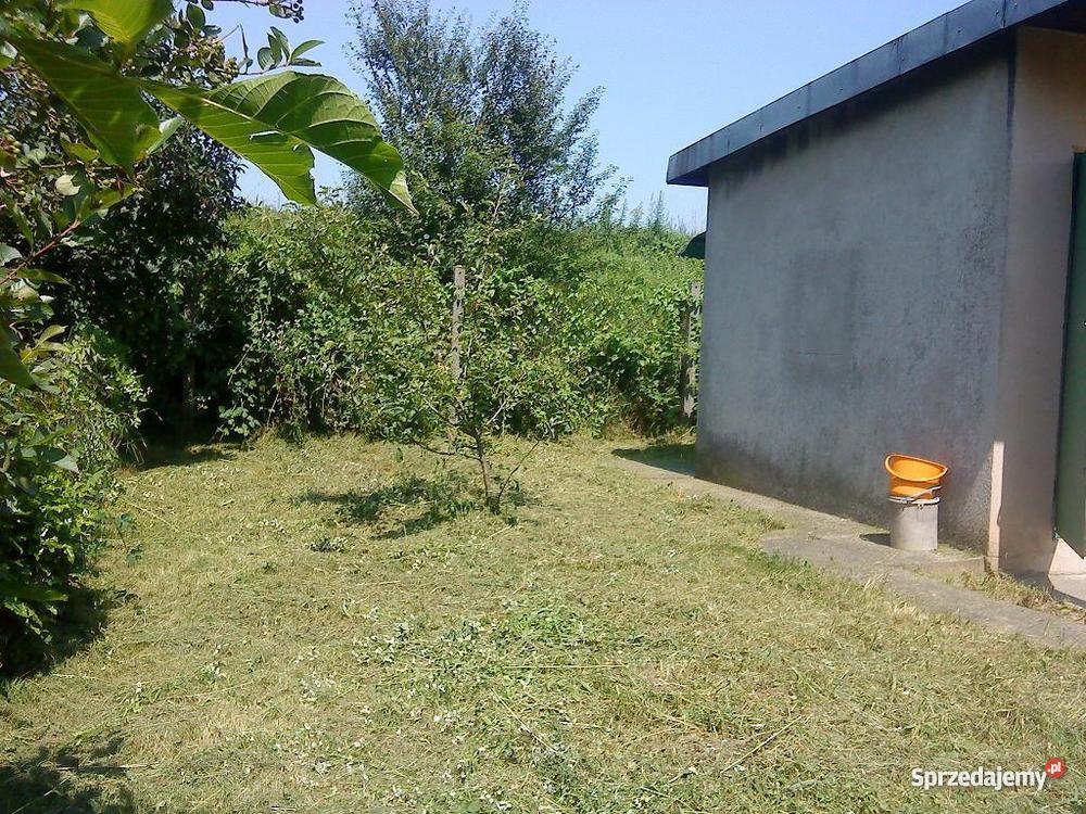 działkę ROD ogródek działkowy Kraków Kraków