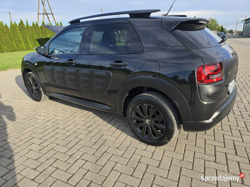 Citroen C4 Cactus 12Turbo Benz NaviKamera Kutno