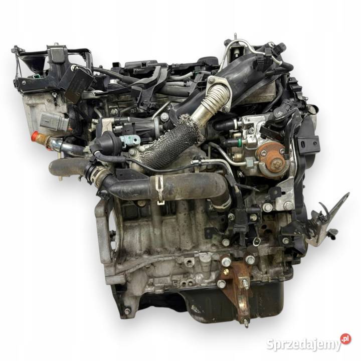 SILNIK UGJC Ford Fiesta VII MK7 B B 15 TDCI 75 osobowe Motoryzacja Chełm