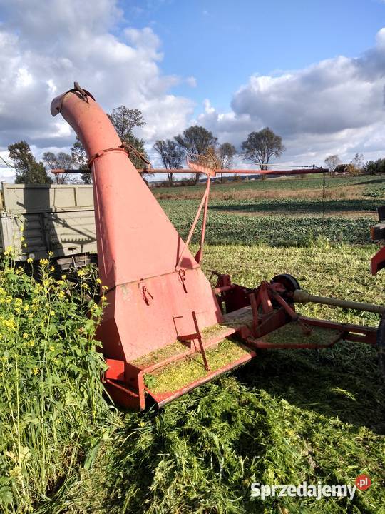 Ścinacz Zielonek Tarrup Koło