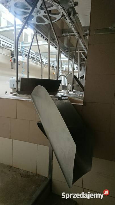 Linia do transportu jelit Produkcja Raków