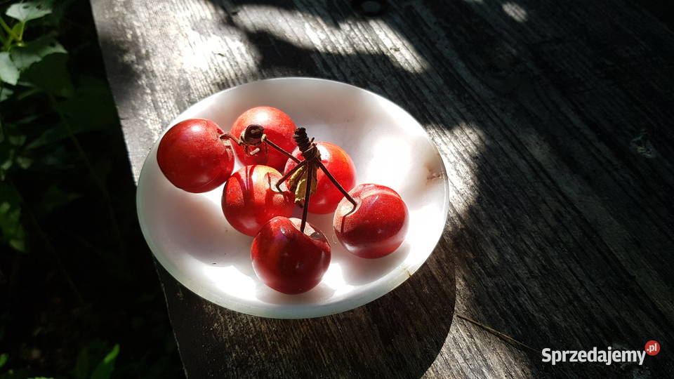 Alabaster talerzyk z czereśniami Dekoracje i ozdoby Myszków